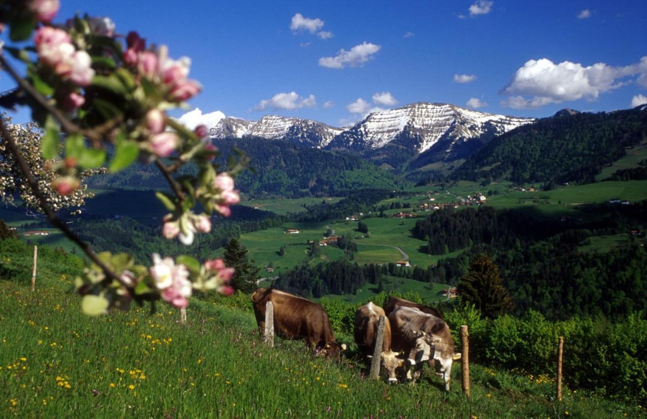 Fewo "Staufen Lodge" Oberstaufen Luaran gambar